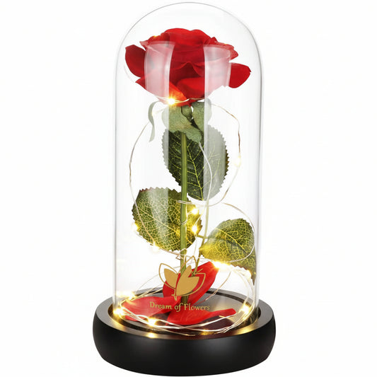 Eternal Rose in Glass Dome with LED Light